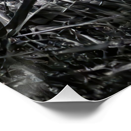  Intense Black & White King Cobra Fine Art Print | Perfect Poster (Hoek)