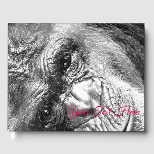 Intense blik gastenboek (Voorkant)