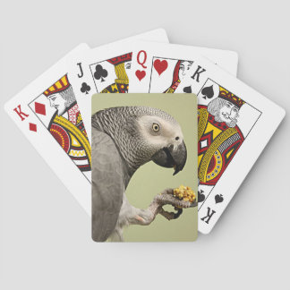Intense Congo-Afrikaanse grijze papegaai Pokerkaarten