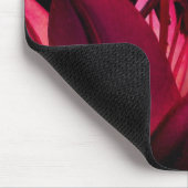 Intense dagvlucht muismat (Hoek)