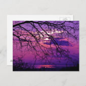 Intense en levendige - Paarse zonnelandschap Briefkaart (Voorkant / Achterkant)