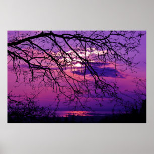 Intense en levendige - Paarse zonnelandschap Poster