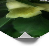 Intense Foxglove Flowers Lijst Uw foto toevoegen Poster (Hoek)