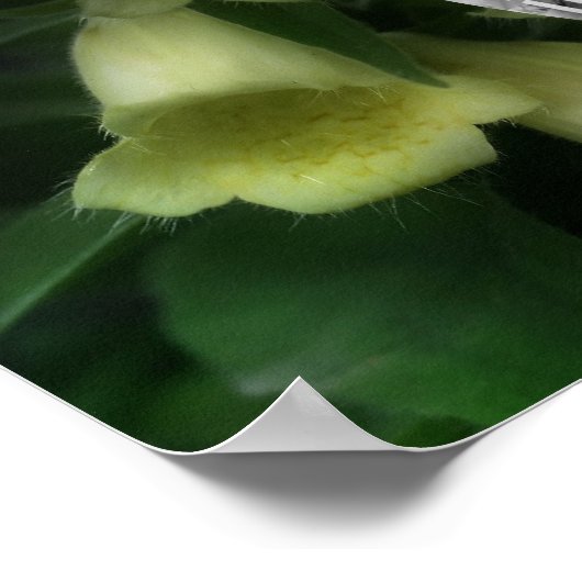 Intense Foxglove Flowers Lijst Uw foto toevoegen Poster (Hoek)