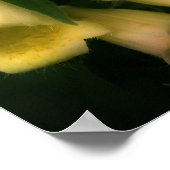 Intense Foxglove Flowers Poster (Hoek)