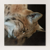Intense Gaze: Close-up van een Lynx Legpuzzel (Horizontaal)