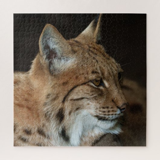 Intense Gaze: Close-up van een Lynx Legpuzzel (Verticaal)