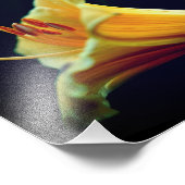 Intense gele lelie bloem 8x10 foto afdruk (Hoek)