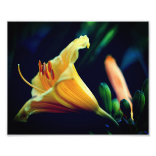 Intense gele lelie bloem 8x10 foto afdruk