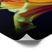 Intense gele Lily Flower Poster (Hoek)
