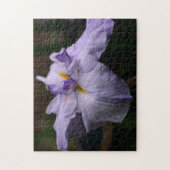 Intense Japanse Iris-ventilator Legpuzzel (Verticaal)