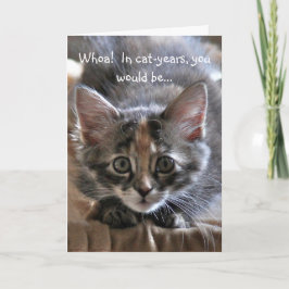 Intense kitten Happy Birthday Kaart