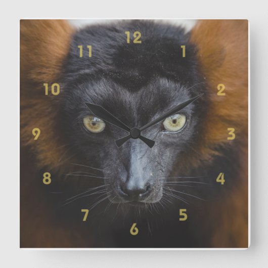 Intense Lemur Vierkante Klok (Voorkant)