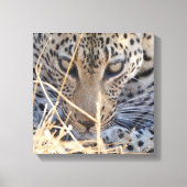 INTENSE LEOPARD EYES CLOSE-UP CANVAS AFDRUK (Voorkant)