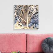 INTENSE LUIPAARD OGEN CLOSE-UP CANVAS AFDRUK (Insitu (Woonkamer))