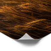 Intense middagzon poster (Hoek)