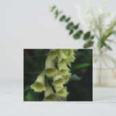 Intense oxyhandschoenen Bloem Briefkaart (Staand voorkant)