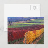 Intense rode en gele valkleuren op Gehring Briefkaart (Voorkant / Achterkant)