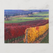 Intense rode en gele valkleuren op Gehring Briefkaart (Voorkant)