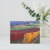 Intense rode en gele valkleuren op Gehring Briefkaart (Staand voorkant)