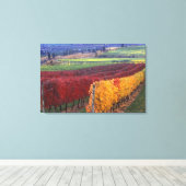 Intense rode en gele valkleuren op Gehring Canvas Afdruk (Insitu (Houten vloer))