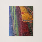 Intense rode en gele valkleuren op Gehring Legpuzzel (Verticaal)