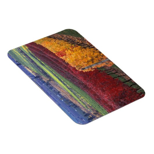 Intense rode en gele valkleuren op Gehring Magneet (Rechterzijde)