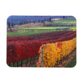 Intense rode en gele valkleuren op Gehring Magneet (Horizontaal)