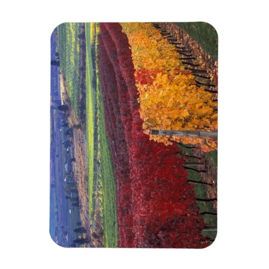 Intense rode en gele valkleuren op Gehring Magneet (Verticaal)