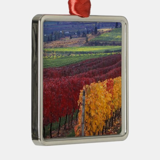 Intense rode en gele valkleuren op Gehring Metalen Ornament (Rechts)