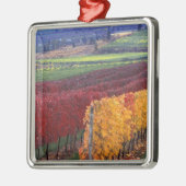 Intense rode en gele valkleuren op Gehring Metalen Ornament (Links)