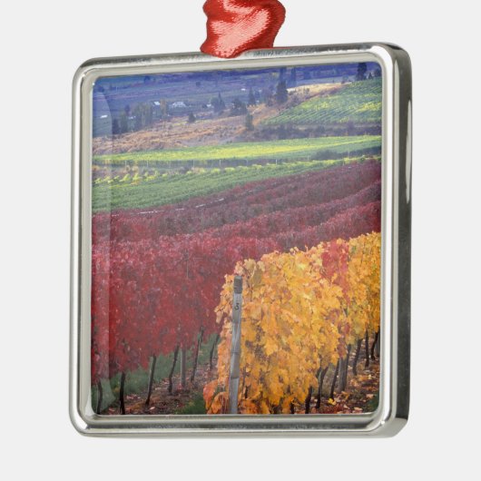 Intense rode en gele valkleuren op Gehring Metalen Ornament (Links)