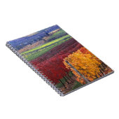 Intense rode en gele valkleuren op Gehring Notitieboek (Rechterzijde)