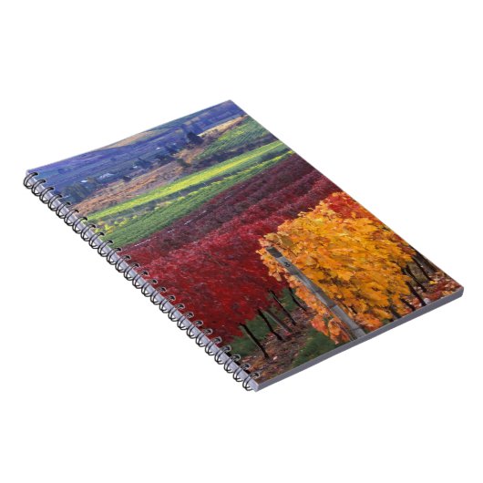 Intense rode en gele valkleuren op Gehring Notitieboek (Rechterzijde)