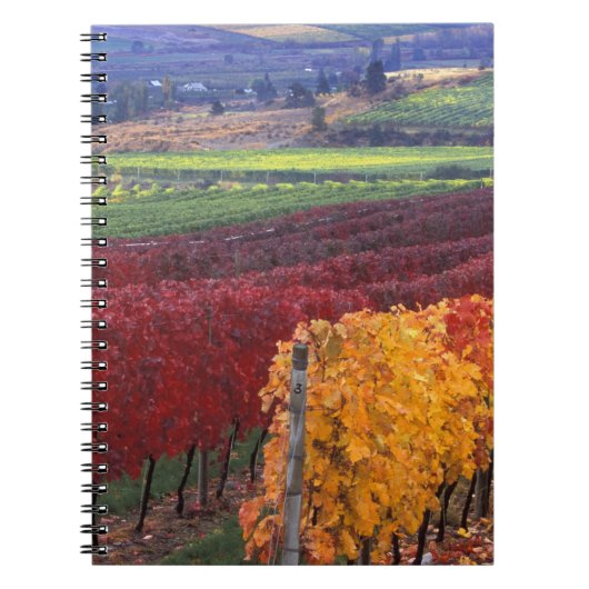 Intense rode en gele valkleuren op Gehring Notitieboek (Voorkant)