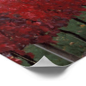 Intense rode en gele valkleuren op Gehring Poster (Hoek)