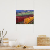 Intense rode en gele valkleuren op Gehring Poster (Keuken)