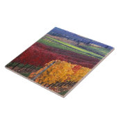 Intense rode en gele valkleuren op Gehring Tegeltje (Zijkant)