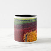 Intense rode en gele valkleuren op Gehring Tweekleurige Koffiemok (Center)