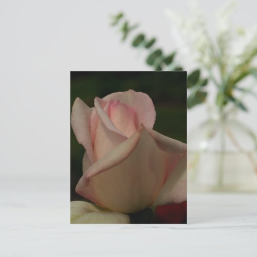 Intense Rosebud Flower Briefkaart (Staand voorkant)