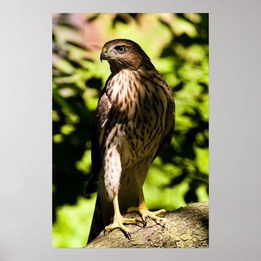 Intense stress poster (Voorkant)