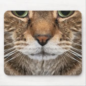 Intense Tabby Kat Puss Gezicht - Groene Ogen Foto Muismat (Voorkant)