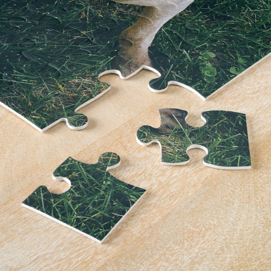 Intense Weimaraner Legpuzzel (Zijkant)