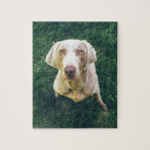 Intense Weimaraner Legpuzzel (Verticaal)