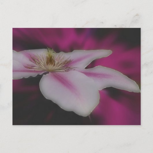 Intense White Clematis Flower Briefkaart (Voorkant)