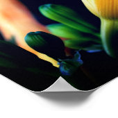 Intense Yellow Lily Flower Mirror Abstract Poster (Hoek)