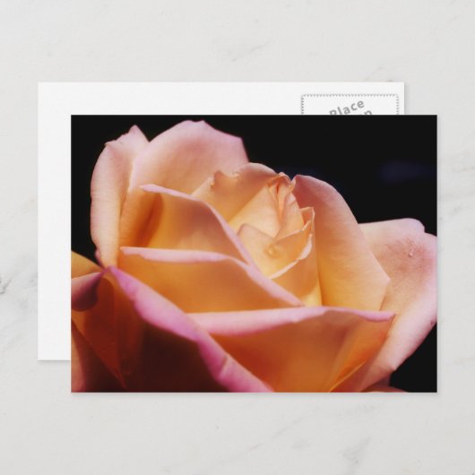 Intensief gekleurde gele rozenventilator briefkaart (Voorkant / Achterkant)