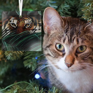 Intensieve Groene Jungle Tijgerogen Wilde Bladeren Glas Ornament