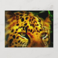 Intensieve Wilde Kattenglimlach Jungle Wildlife Ku