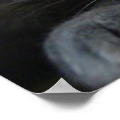 Intensiteit afdrukken poster (Hoek)